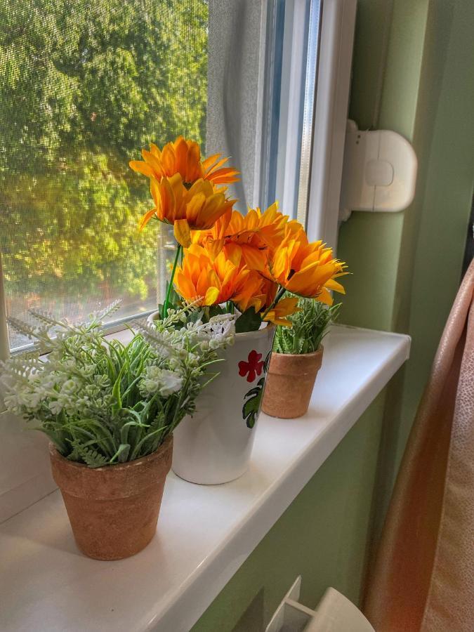 Apartman Diana Sremska Mitrovica Zewnętrze zdjęcie